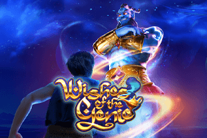 Wishes of the Genie